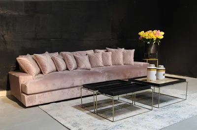 סלון דגם רביצה