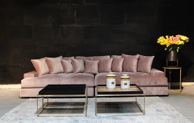 סלון דגם רביצה